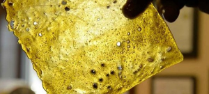Buy Rosebud Shatter UK – Premium THC Concentrate from Pure THC UK