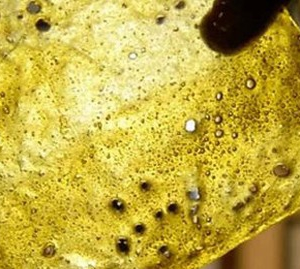 Buy Rosebud Shatter UK – Premium THC Concentrate | Fast Delivery