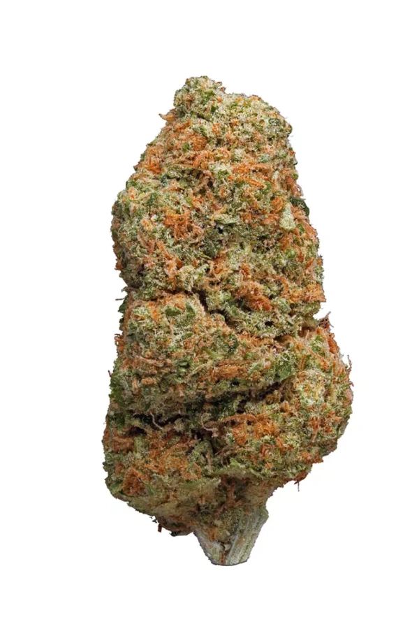 Buy Northern Light Strain UK | Pure Indica THC Weed Online