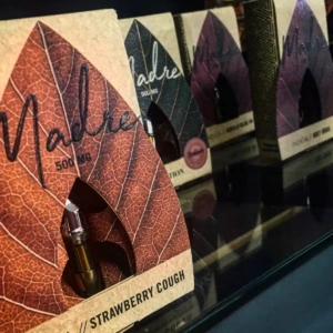Buy Madre Organic Cartridges UK – premium THC vape cartridges with organic extracts for smooth hits and discreet delivery