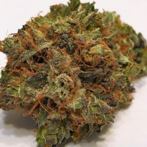 Trainwreck Strain – Buy THC Weed Online UK | Pure THC UK