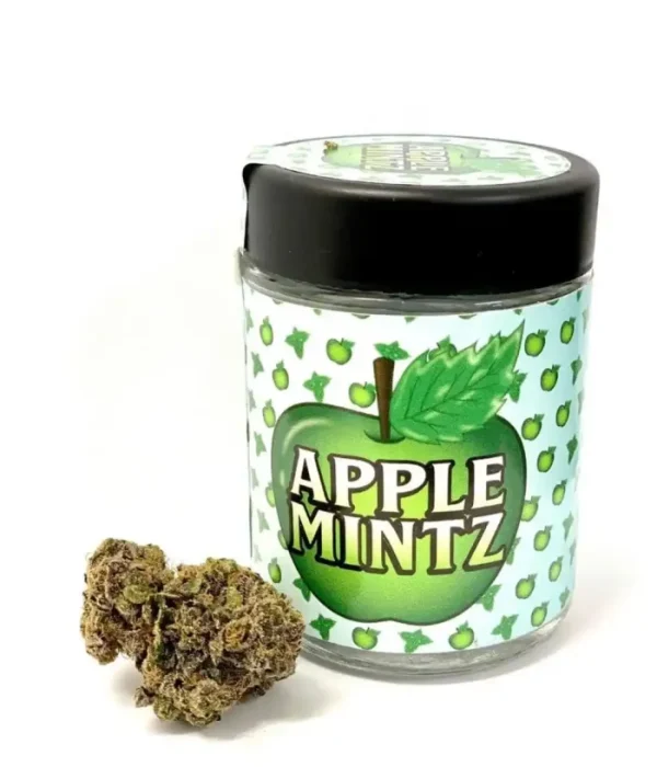 Buy Apple Mintz Strain Backpackboyz – Premium THC Flower UK