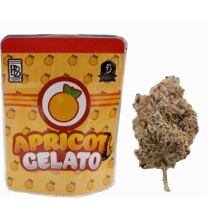 Buy Apricot Gelato Strain | Backpackboyz UK – Premium THC Flower