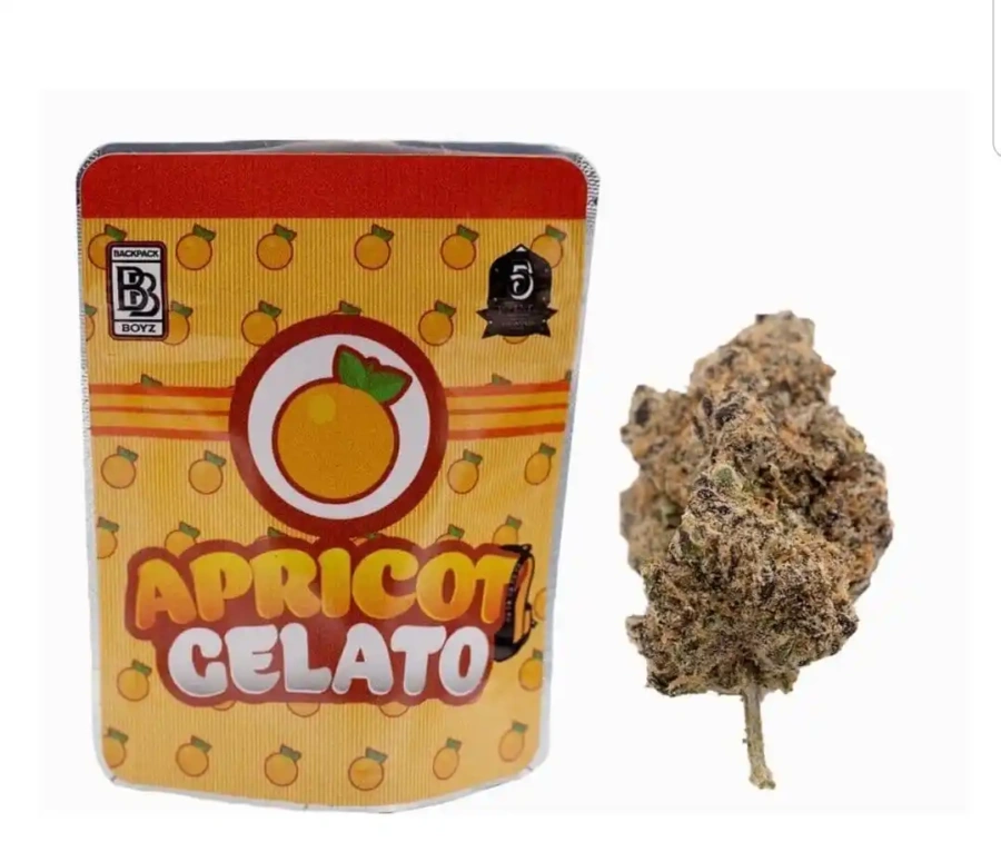 Buy Apricot Gelato Strain | Backpackboyz UK – Premium THC Flower