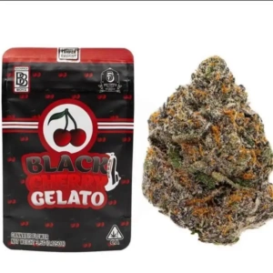 Black Cherry Gelato | Backpackboyz – Buy UK