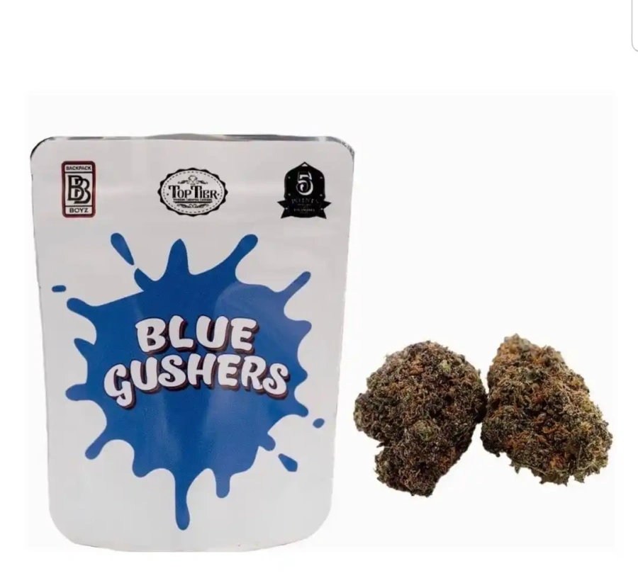 Buy Blue Gushers Strain Backpackboyz – Pure THC UK