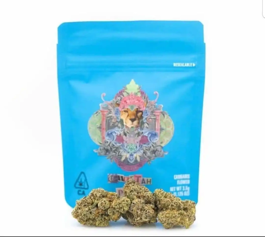 Buy Cheetah Piss Strain Cookies – High THC 20%