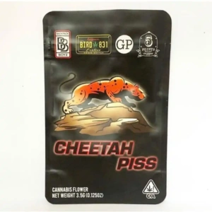 Buy Cheetah Piss Strain | Backpackboyz – Premium THC UK