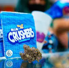 Buy Blue Crushers Gushers Strain UK – Premium THC Flower by Big Al’s Exotics