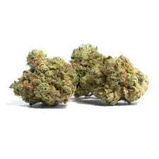 Buy Mango Haze THC Vape UK – Sativa-Dominant Hybrid | Pure THC UK