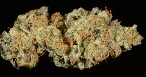 Buy Girl Scout Cookies UK – Premium THC Flower from Pure THC UK