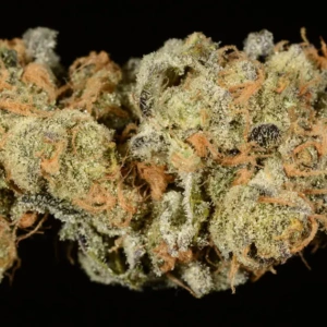 Buy Girl Scout Cookies UK – Premium THC Flower | Fast Delivery