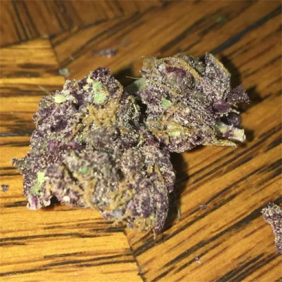 Buy Grape God Strain UK – Indica-Dominant Hybrid | Fast Delivery