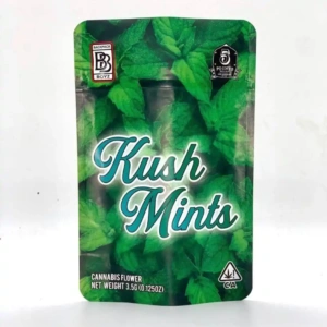 Kush Mints strain close-up showing minty kush buds