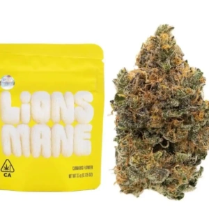 Buy Lions Mane Strain Cookies | Premium Hybrid | Pure THC UK
