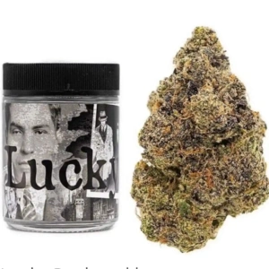 Buy Lucky Strain | Backpackboyz – Premium Hybrid Flower UK