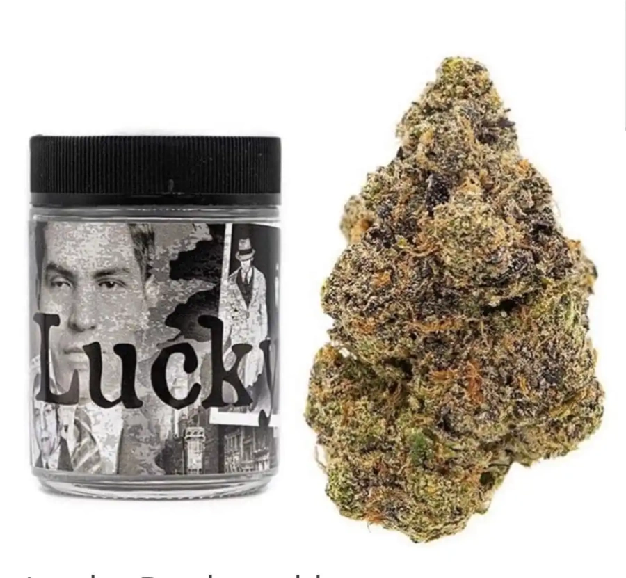 Buy Lucky Strain | Backpackboyz – Premium Hybrid Flower UK