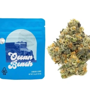 Buy Ocean Beach Strain | Cookies – Premium THC Flower UK