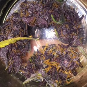 Buy Purple Kush UK – Premium Indica THC Flower | Pure THC UK