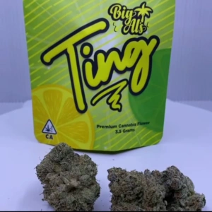 Buy Ting Strain Big Al’s Exotics UK – Premium THC Flower